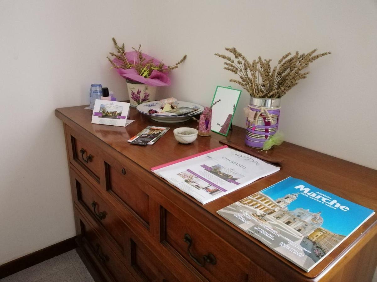 Amor Di Lavanda Чинголи Екстериор снимка