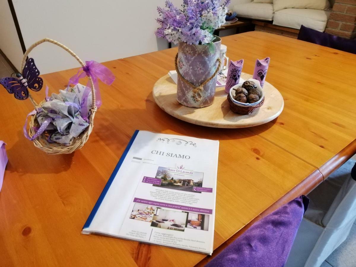 Amor Di Lavanda Чинголи Екстериор снимка